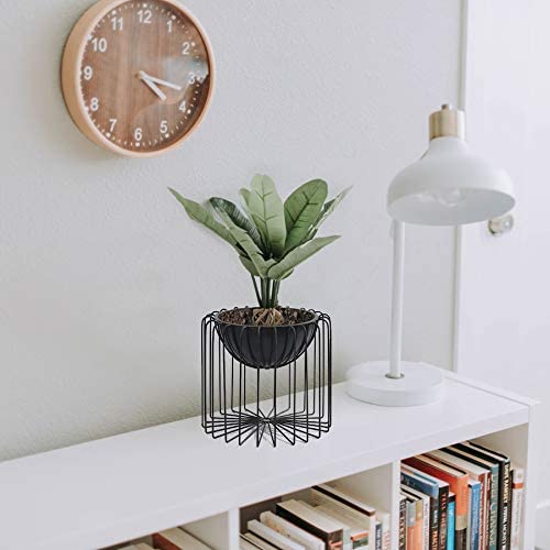 Indoor Planter