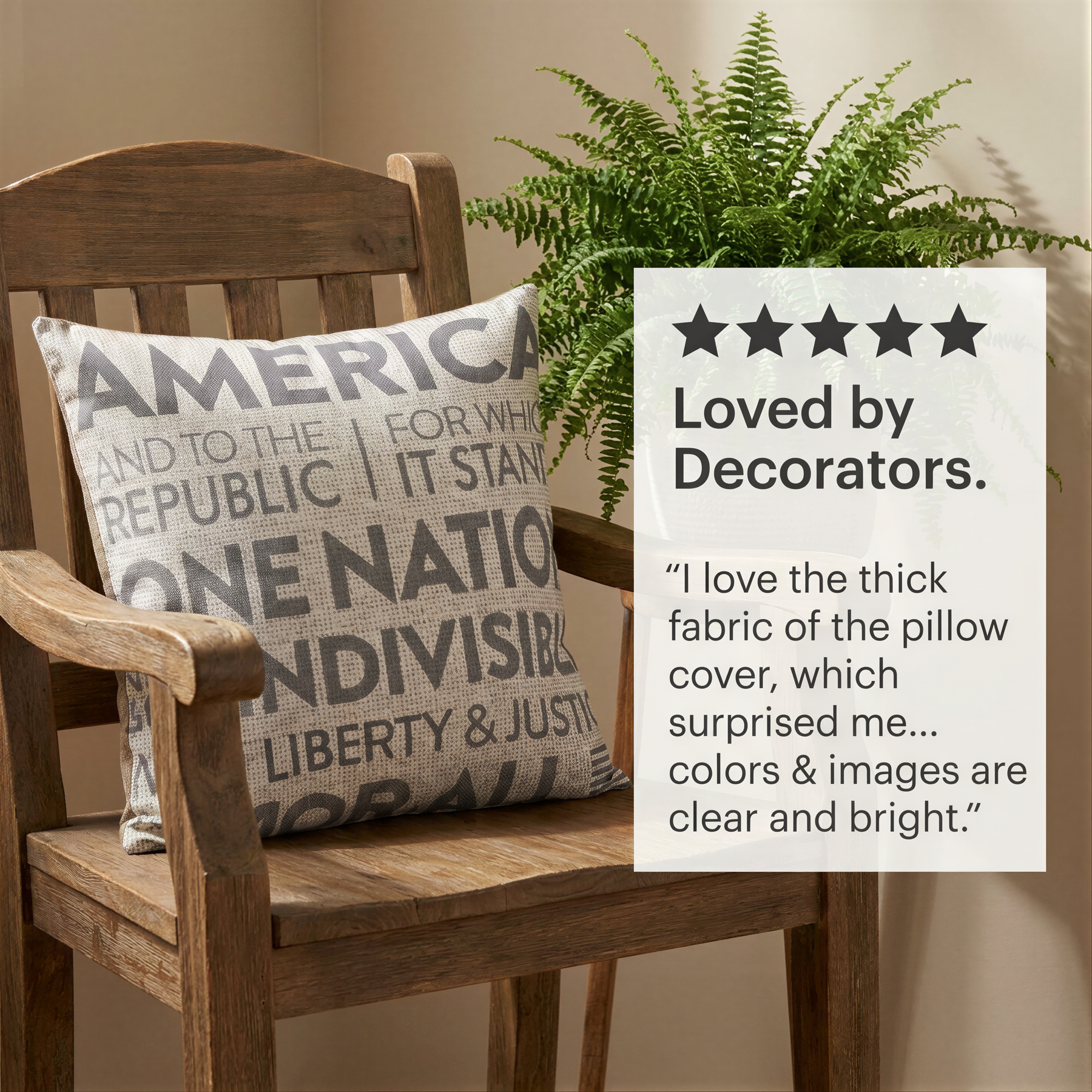 a wooden chair with a pillow on it, and there is a plant in the background. The pillow has the word "AMERICA" printed on it, and there is a review rating for the pillow from "Decorators."