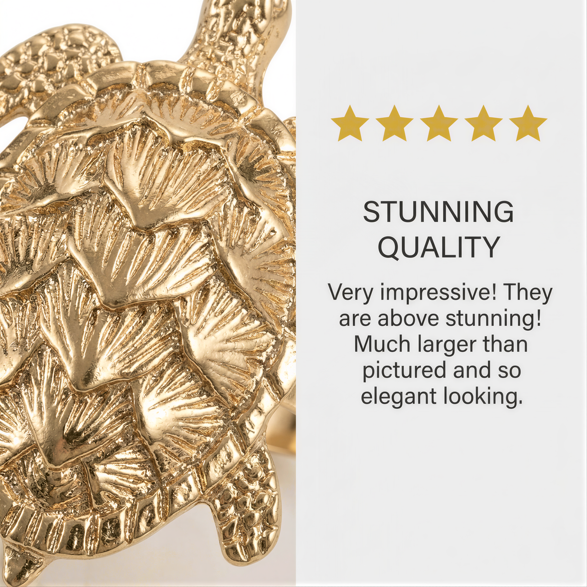 a close-up view of a gold-colored turtle with intricate shell patterns, accompanied by a rating system and descriptive text.