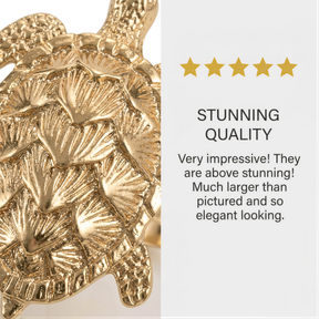 a close-up view of a gold-colored turtle with intricate shell patterns, accompanied by a rating system and descriptive text.