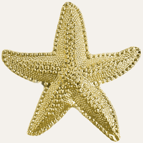 Napkin Rings in Gold Star Fish Design